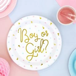 Partydecor Party Supplies Plates Boy Or Girl Gender Reveal