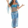 Funshack Ladies Arabian Princess Costume 1 Funshack Ladies Arabian Princess Costume