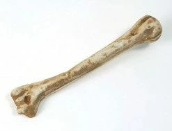 My Fancy Dress Historical Costumes Caveman Bone