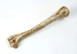 My Fancy Dress Historical Costumes Caveman Bone 3 My Fancy Dress Historical Costumes Caveman Bone