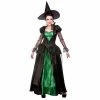 Wicked Deluxe Emerald Witch Costume Adult