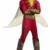 Rubies Superhero & Villiain Deluxe Shazam Muscle Costume Boys 2 Rubies Superhero & Villiain Deluxe Shazam Muscle Costume Boys