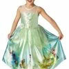 Rubies Dream Princess Tiana Costume Fairytale Costumes 2 Rubies Dream Princess Tiana Costume Fairytale Costumes
