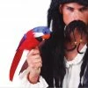 Fiestas Guirca Pirate Costumes Fake Stuffed Parrot 2 Fiestas Guirca Pirate Costumes Fake Stuffed Parrot