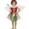 Widmann Fairytale Costumes Fantasy Fairy Costume Girl