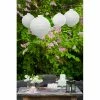 Partydecor Light-up Paper Lantern White 30cm Party Supplies 1 Partydecor Light-up Paper Lantern White 30cm Party Supplies