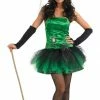 Funshack Green Spider Witch Costume Halloween