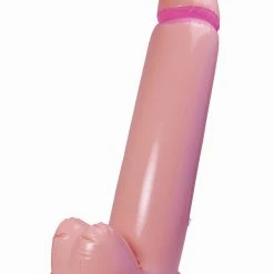 Bristol Inflatable Willy Inflatables