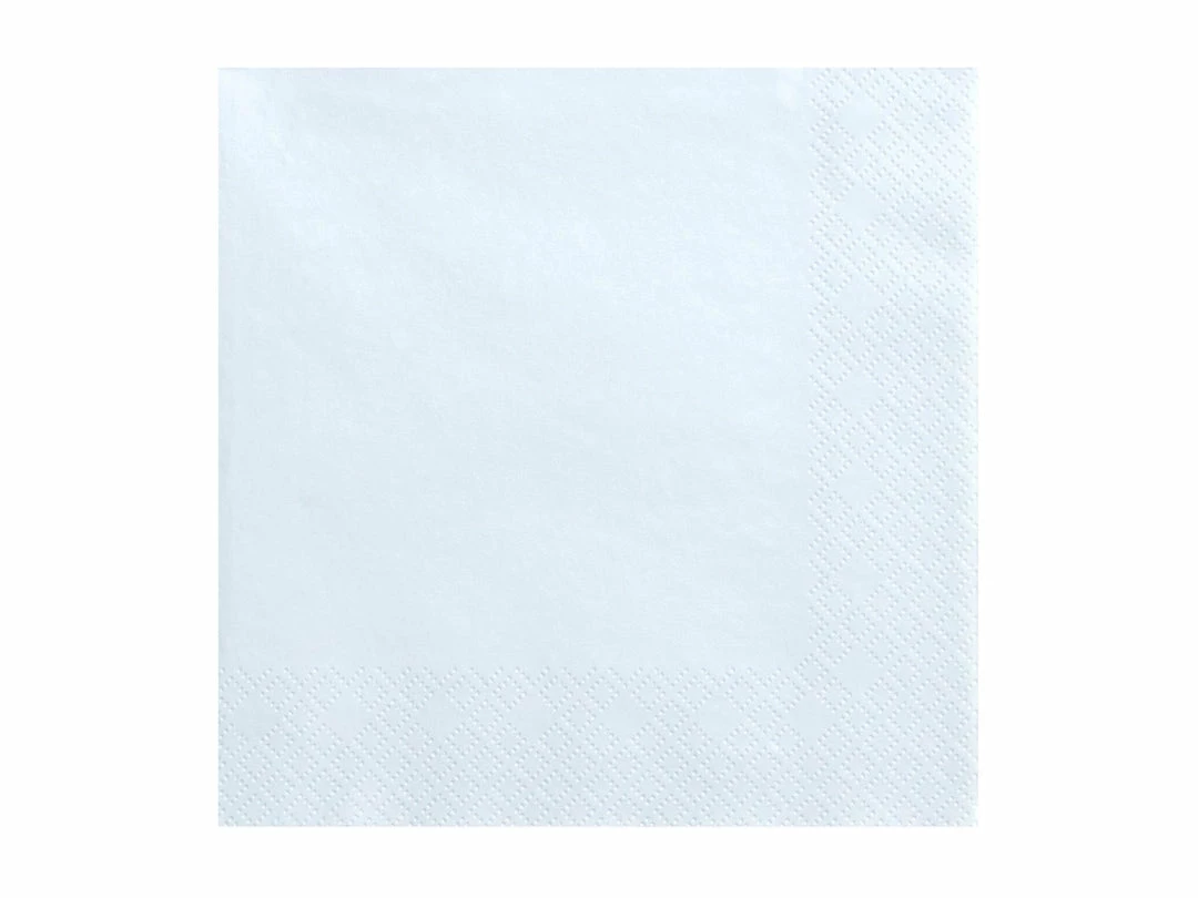 Partydecor Party Supplies Light Blue Paper Napkins 5 Partydecor Party Supplies Light Blue Paper Napkins