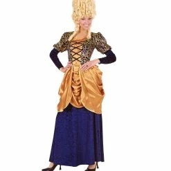 Widmann Marquise Costume Blue And Gold Medieval, Renaissance & Tudor Costumes