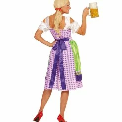Fiestas Guirca Oktoberfest Dirndl Dress Costume Ladies World Costumes