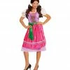 Fiestas Guirca Oktoberfest Dirndl Dress Costume Pink World Costumes