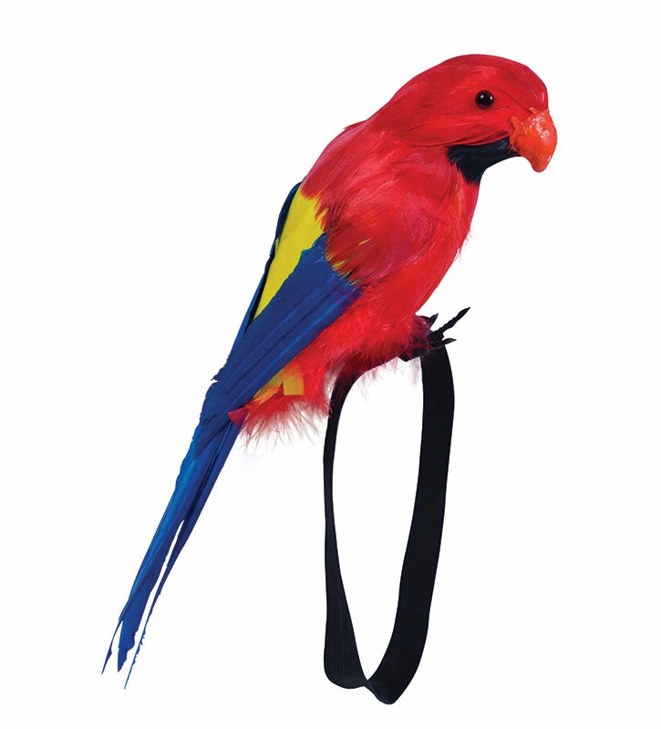 My Fancy Dress Pirate Stuffed Parrot Wrist 3 My Fancy Dress Pirate Stuffed Parrot Wrist