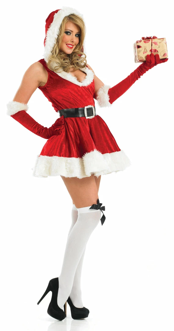 Funshack Christmas Costumes Sexy Lady Santa Costume 3 Funshack Christmas Costumes Sexy Lady Santa Costume